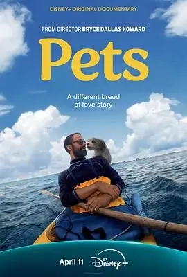 《宠 Pets》：一部颠覆你想象的宠物纪录片，它们的世界超乎你我想象！